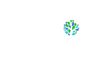 quinta